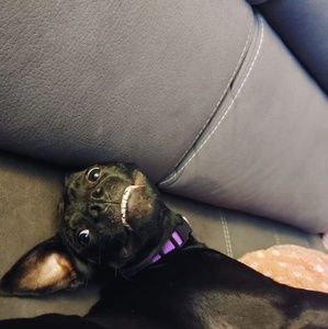 Meet your Posher, Alexandra